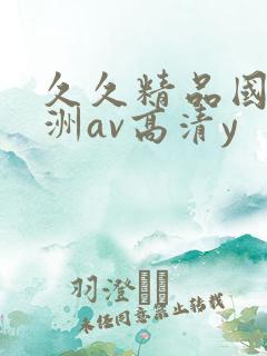 久久精品国产亚洲av高清y