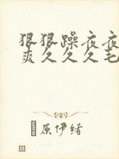 狠狠躁夜夜躁人爽久久久毛片av