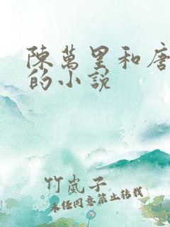 陈万里和唐嫣然的小说