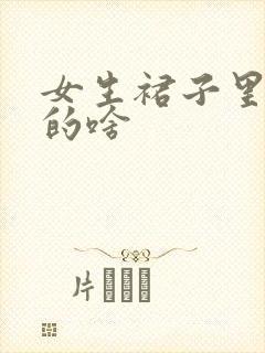 女生裙子里面穿的啥