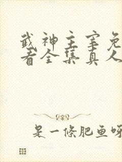 武神主宰免费观看全集真人版