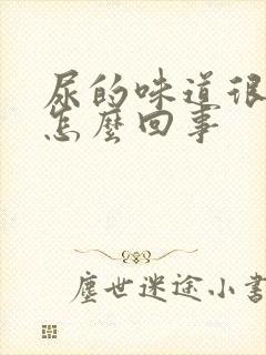 尿的味道很腥臭怎么回事