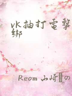 vk抽打电击捆绑
