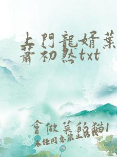 上门龙婿叶辰,萧初然txt