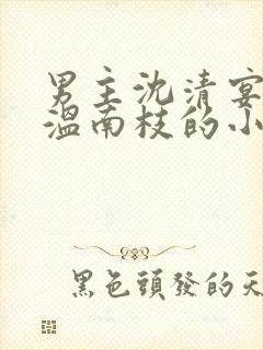 男主沈清宴女主温南枝的小说