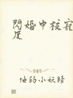 闪婚中校宠妻无度