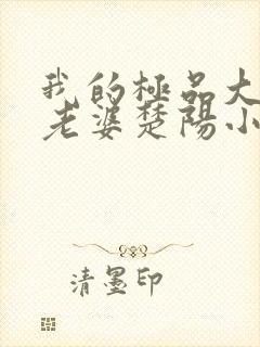 我的极品大小姐老婆楚阳小说阅读