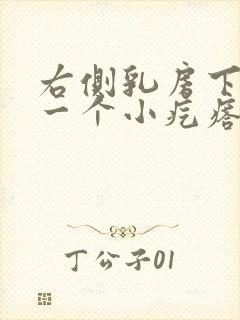 右侧乳房下面有一个小疙瘩,摸着有点疼?
