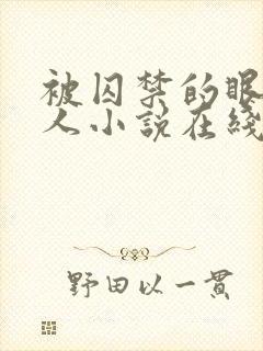 被囚禁的眼盲美人小说在线阅读