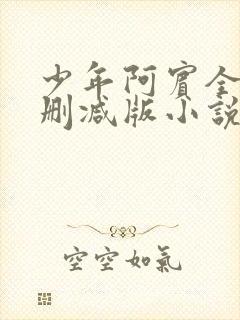 少年阿宾全集无删减版小说