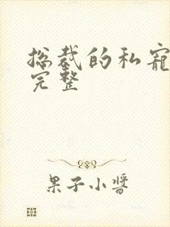 总裁的私宠甜妻完整