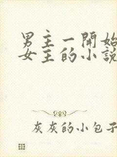 男主一开始厌恶女主的小说