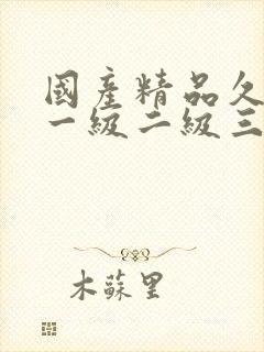 国产精品久久久一级二级三级