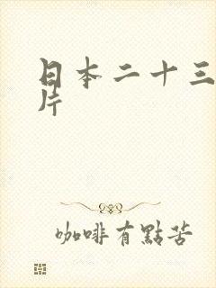 日本二十三式毛片