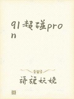 91超碰pron