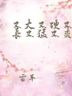 又大又硬又粗又长又猛又爽的国产视频