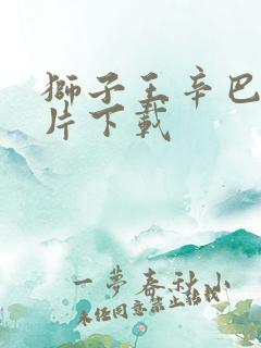 狮子王辛巴动画片下载