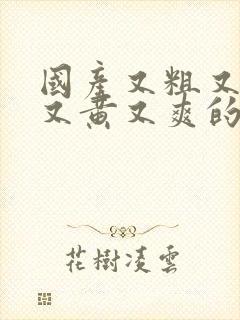 国产又粗又猛大又黄又爽的