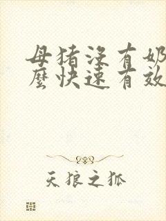 母猪没有奶水怎么快速有效催奶