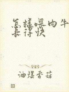 怎样喂肉牛才能长得快