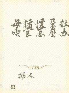 母猪怀孕拉稀不吃食怎么办