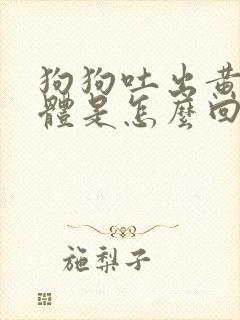 狗狗吐出黄色液体是怎么回事?