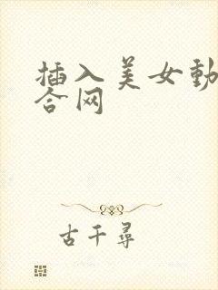 插入美女动态综合网