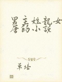 男主姓龙女主姓唐的小说