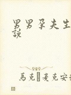 男男孕夫生子小说