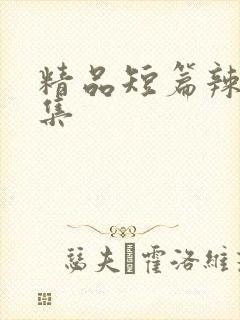 精品短篇辣文合集