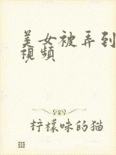 美女被弄到高潮视频