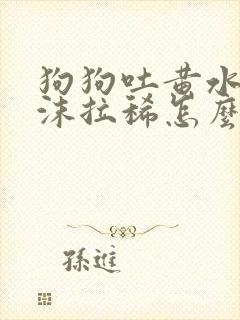 狗狗吐黄水带泡沫拉稀怎么办