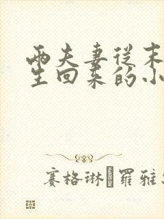 两夫妻从末世重生回来的小说