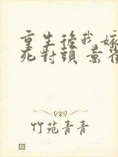 重生后我嫁给了死对头 意雀