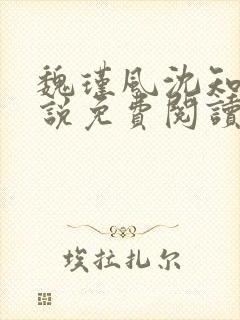 魏瑾风沈知玉小说免费阅读最新章节