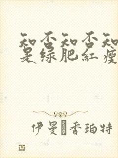 知否知否知否应是绿肥红瘦什么时候拍的