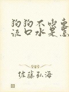 狗狗不吃东西,流口水是怎么回事