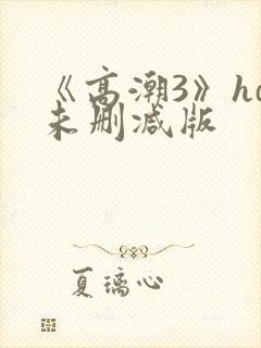 《高潮3》hd未删减版