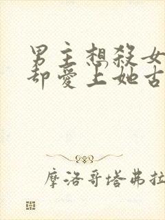 男主想杀女主但却爱上她古言