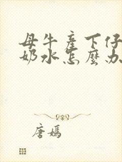 母牛产下仔牛无奶水怎么办