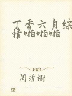 丁香六月综合激情啪啪啪