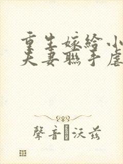 重生嫁给小叔子夫妻联手虐渣