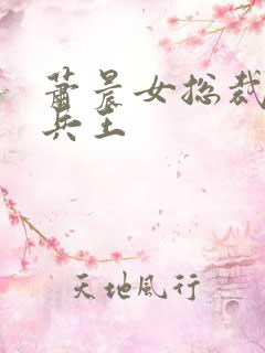 萧晨女总裁全能兵王