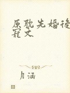 原耽先婚后爱甜宠文