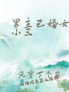 男主已婚女主是小三