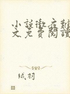 小说彻夜难眠全文免费阅读