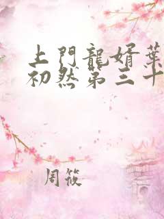 上门龙婿叶辰萧初然第三十