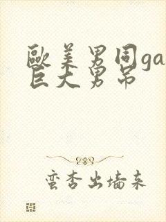 欧美男同gay巨大男吊