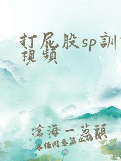 打屁股sp训诫视频