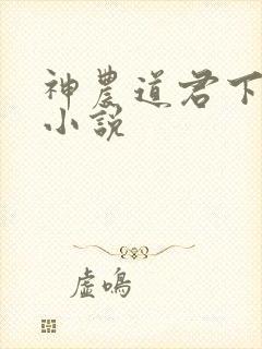 神农道君下载 小说